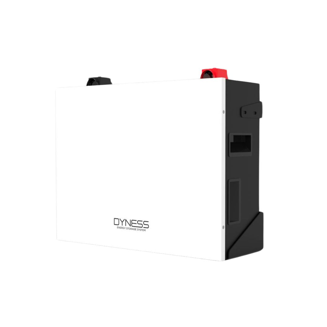 Dyness - Battery Lithium Ion DL5 5.12KWH 51.2V 100Ah - 1C